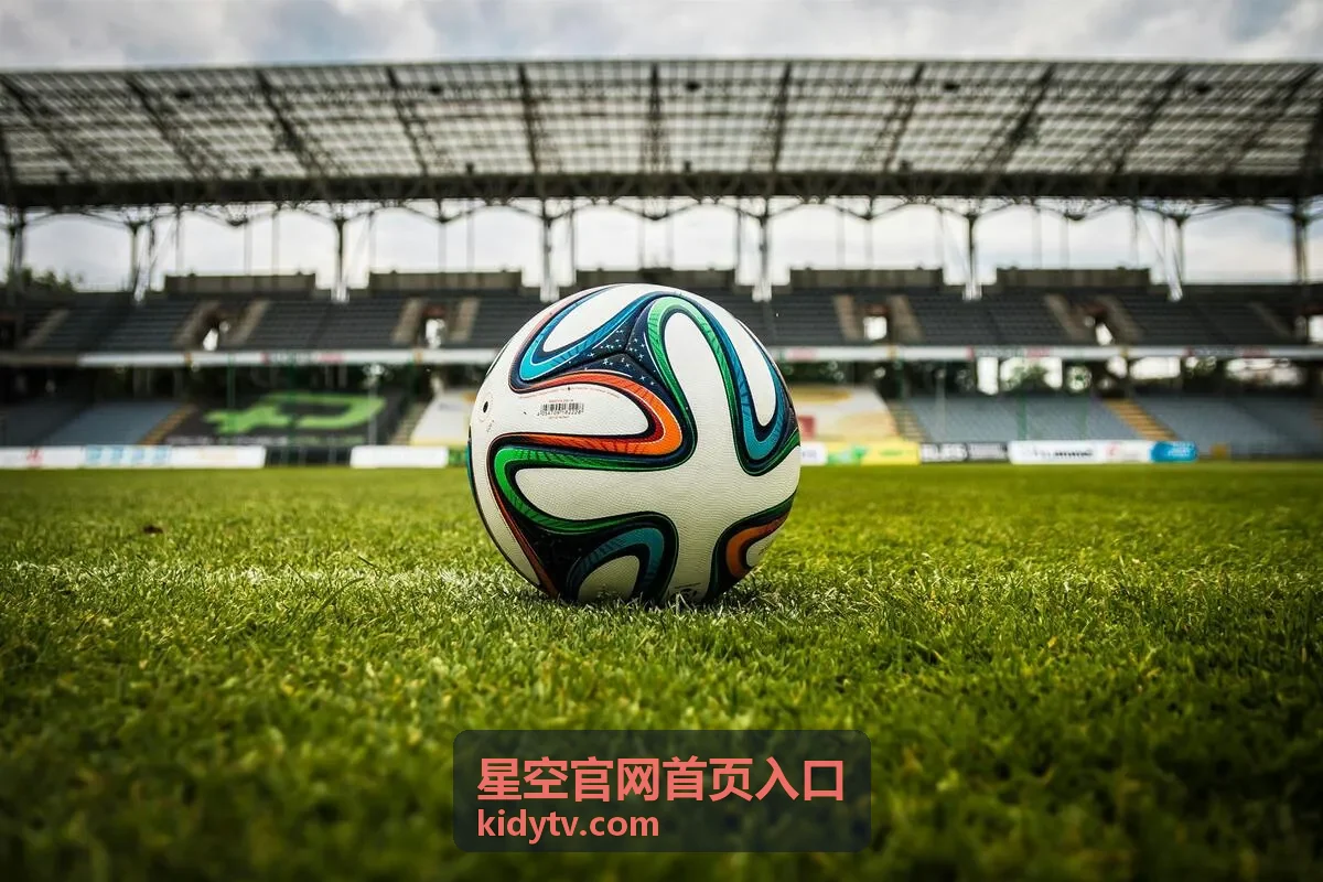 星空官网首页入口的首页导航界面示意