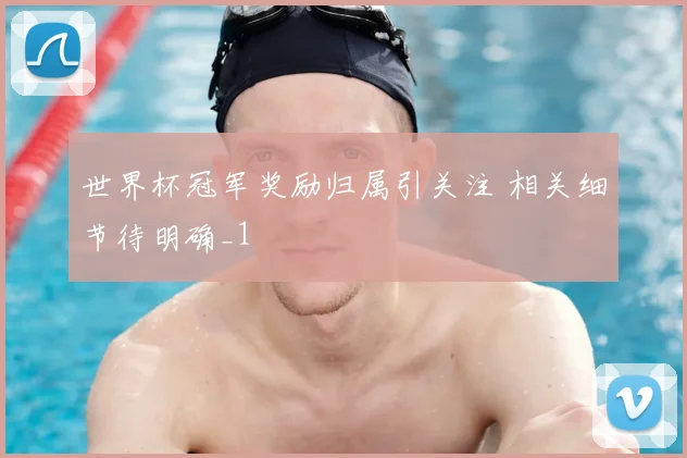 世界杯冠军奖励归属引关注 相关细节待明确_1