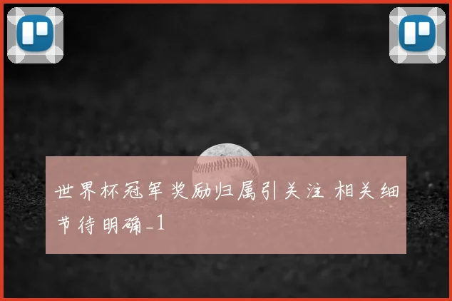 世界杯冠军奖励归属引关注 相关细节待明确_1