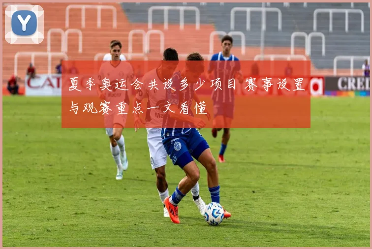夏季奥运会共设多少项目 赛事设置与观赛重点一文看懂