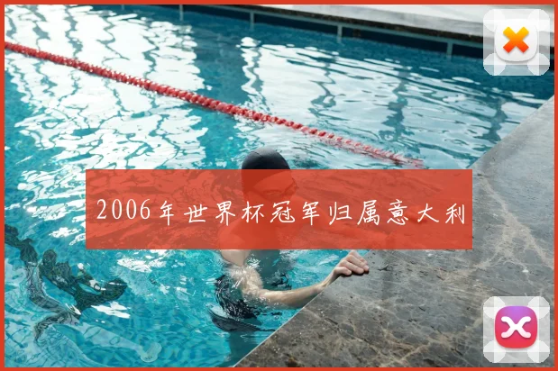 2006年世界杯冠军归属意大利