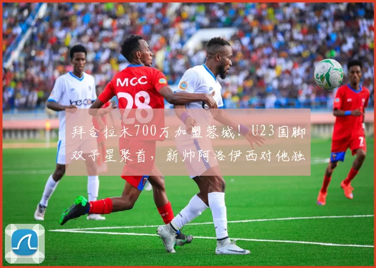 拜合拉木700万加盟蓉城!U23国脚双子星聚首,新帅阿洛伊西对他独有使用说明书_战术_球员_1