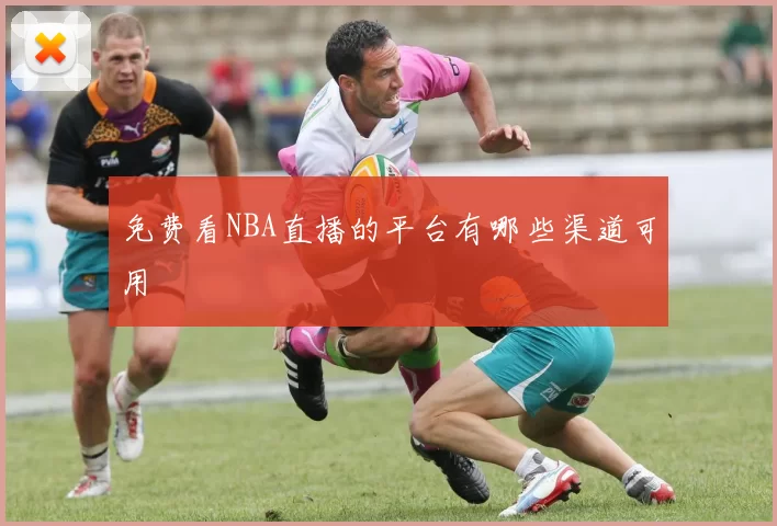 免费看NBA直播的平台有哪些渠道可用