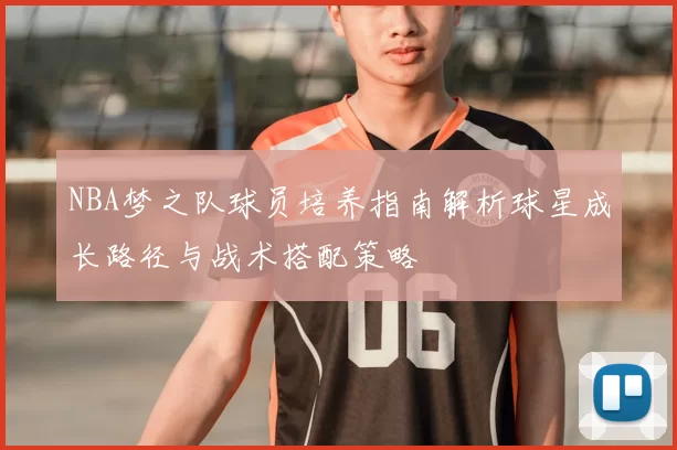 NBA梦之队球员培养指南解析球星成长路径与战术搭配策略