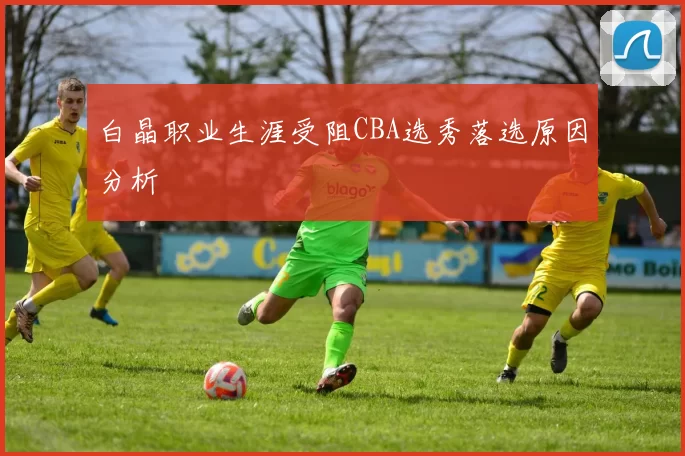 白晶职业生涯受阻CBA选秀落选原因分析