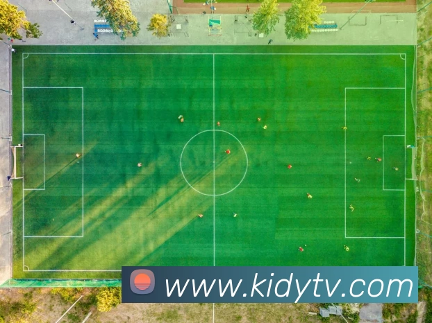 完美体育唯一官网平台生态图